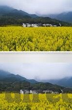糖心vlog最新版-糖心vlog最新版，记录生活，分享美好时刻的潮流新宠